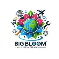 BiG Bloom Solutions logo - Similar company to Innes Srl