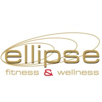 Ellipse - Life Dynamics