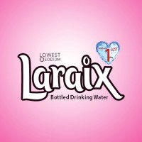 Laraix logo - Similar company to Laraix Developers