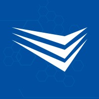 Vetor Sistemas logo - Similar company to Grupo Worksystem