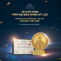 The ADORA | DONG PHUONG GROUP logo - Similar company to Tada Innovation