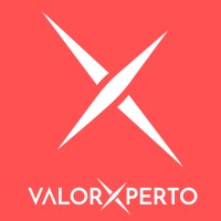 Valor Experto logo - Similar company to Balmey