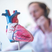 Cardiologie Centrum Utrecht Nederland logo - Similar company to Nederlands Hart Netwerk