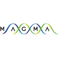 Magma Industries Limited logo - Similar company to Minerva Globals