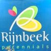 Rijnbeek Perennials logo - Similar company to Flexclick