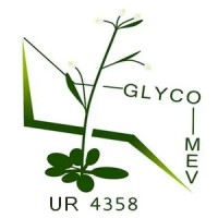 GlycoMEV logo - Similar company to Litis - Laboratoire D'Informatique, Du Traitement De L'Information Et Des Systèmes
