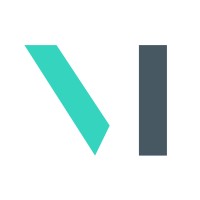VisioMetric logo - Similar company to Solidlines Tech Services
