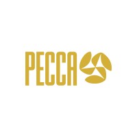 Pecca India®️ logo - Similar company to Drawdiff