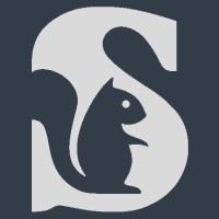 Silverile logo - Similar company to Value Info Tech, Inc