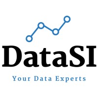 DataSI | Data Analytics and Consultancy logo - Similar company to Datasii Consulting
