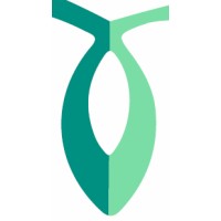 Afiansys logo - Similar company to Vistingo