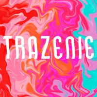 Trazenie logo - Similar company to Modern Ideation, Llc