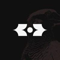 Carcará - Coletivo Digital logo - Similar company to Gengibre