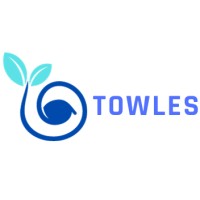 Towles Consultancy logo - Similar company to Subio