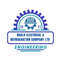Ngolu Electrical & Refrigeration Company Ltd logo - Similar company to Hero Control Systems Ltd