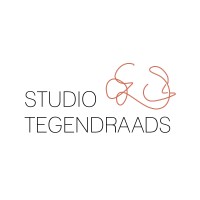 Studio Tegendraads logo - Similar company to Het Proces