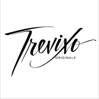 Trevixo Originale Books logo - Similar company to Light Lxd