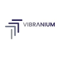 Vibranium Holdings logo - Similar company to Ntu Investment Banking Club