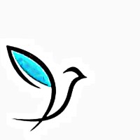 Life and Liberty Foundation logo - Similar company to Lens Foundation