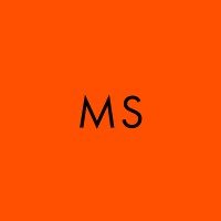 MINSK STUDIO logo - Similar company to Angry Zebra Studio