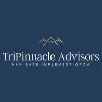 TriPinnacle Advisors logo - Similar company to Strong Walls Consulting