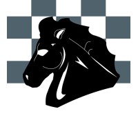 Paladin Advisor Group logo - Similar company to Remotevasolutions
