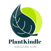 Plant Kindle | بلانت كندل logo - Similar company to Twinz Perfumes