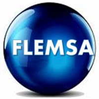 GRUPO FLEMSA logo - Similar company to Flensa Transportation