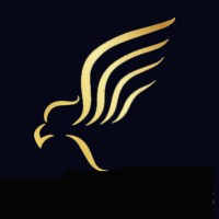 Eagle Eye Executives logo - Similar company to Saaswell Bv