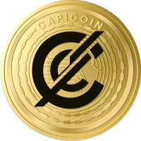 CapiCoin ( CNHX ) logo - Similar company to Paraacrypto