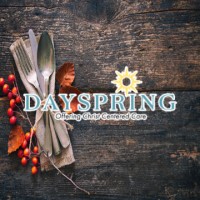 DaySpring Senior Living logo - Similar company to The Colony Er Hospital