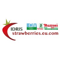 Idris Trading & Consulting logo - Similar company to Idris