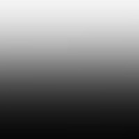 DontWorryIHaveMyCam logo - Similar company to Lycee Polyvalent Eugene Ionesco
