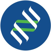 Datagenno Interactive Research