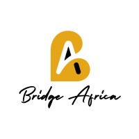 Bridge Africa logo - Similar company to Bridge Africa