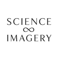 Science Of Imagery
