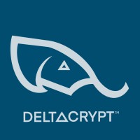 DeltaCrypt logo - Similar company to Fizzy Minds