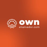 ownelsalvador.com logo - Similar company to Solutionlabs