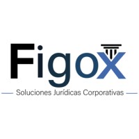 FIGOX logo - Similar company to Argedesk Rollform Mühendislik
