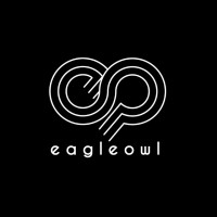 EagleOwl logo - Similar company to Pine Consulting