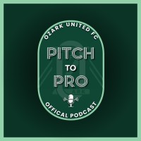 Pitch to Pro Podcast logo - Similar company to Bcsengineering.Com
