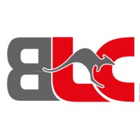 British Link Co logo - Similar company to 20Uses