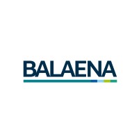 Balaena logo - Similar company to Gibdock Ltd
