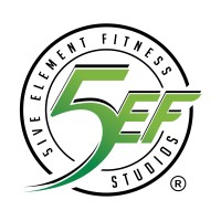5ive Element Fitness logo - Similar company to Gym Mentor