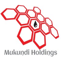 Mukundi Holdings logo - Similar company to Renati Group