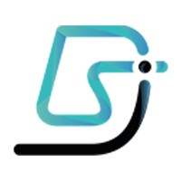 DSI France logo - Similar company to Igual