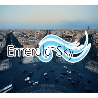 Emerald Sky Group LLC logo - Similar company to It Solution Pte Ltd