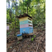 Apiário Ferroada na Testa logo - Similar company to Apistech Produtos Da Natureza Ltda