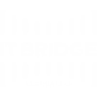 IT Bridge logo - Similar company to Itbridge Consultants Pvt. Ltd.