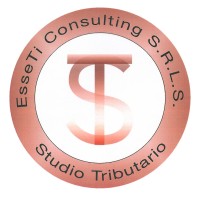 EsseTi consulting SRLs logo - Similar company to Hyperbit Srls